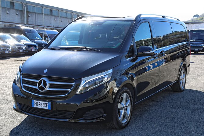 Transfer from Naples to Pompei - Meet-and-greet pickup and the mobile ticket you’ll actually use