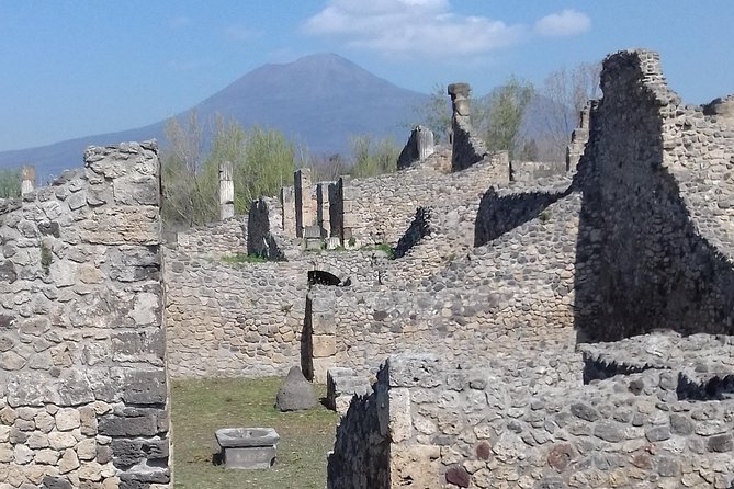 Transfer from Naples to Sorrento with a stop at Pompeii and Mt Vesuvius(1-8 PAX) - Pompeii Archaeological Park: 90 Minutes in a City Frozen in Ash