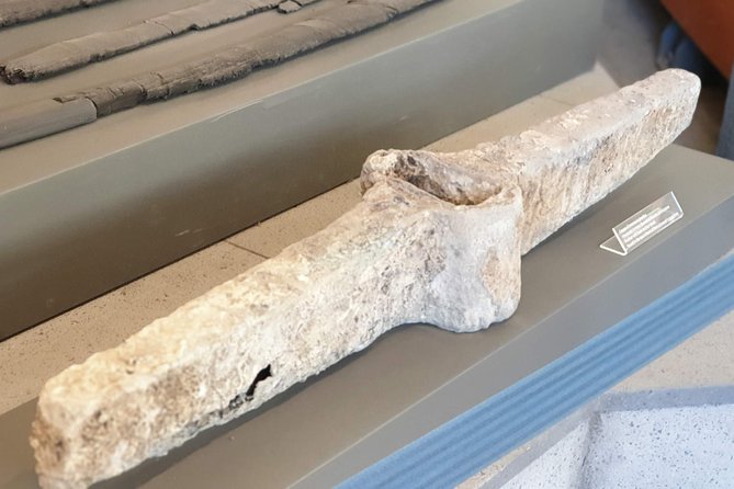 Trip Excursion to Mt. Vesuvius - Pompeii + Handmade pasta class with lunch - Handmade Pasta Class and Lunch: The Best Ending to a Ruins-Filled Day