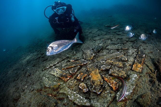 Try Scuba Diving and Underwater Roman Ruins in Baia from Naples - What to expect in the water: comfort, warmth, and gear