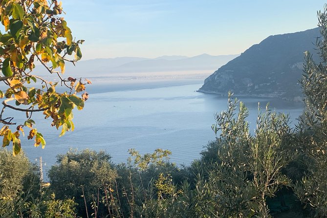Unique Tour | Discovering Amalfi on a Minivan with driver - What’s Included (and What You Should Budget For)