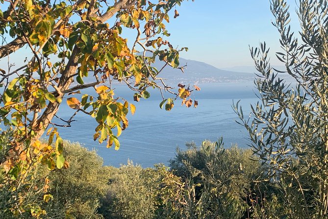 Unique Tour | Discovering Amalfi on a Minivan with driver - Time on the Road vs. Time in Town
