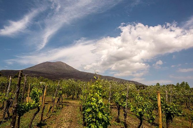 Vesuvio Gran cono + Wine Tasting & Lunch + Transfer from Naples - Why this Vesuvius wine tour feels different from a typical Naples day