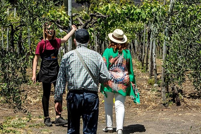 Vesuvio Gran cono + Wine Tasting & Lunch + Transfer from Naples - Lunch in Campania: local dishes plus real dietary options