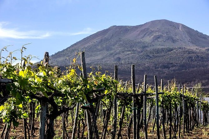 Vesuvio Gran cono + Wine Tasting & Lunch + Transfer from Naples - Timing and pacing: a 5–6 hour day that needs some stamina
