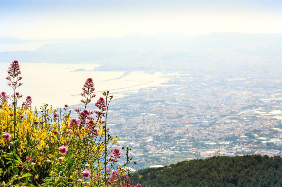 Vesuvio Skip The Line Ticket With Digital Audioguide - What you save with a skip-the-line ticket (and what you still can’t dodge)