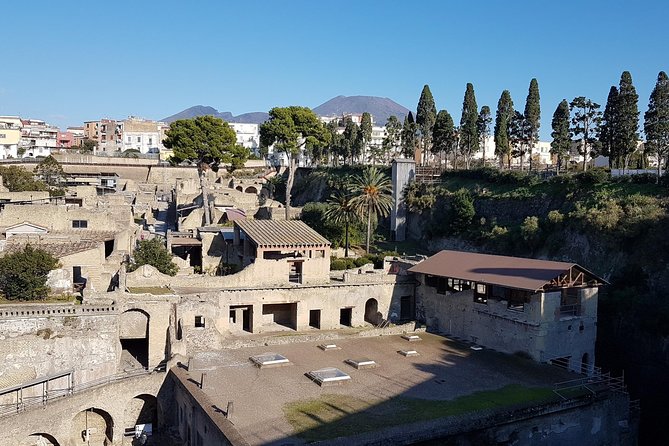 Vesuvius and Herculaneum Day Trip from Naples with Skip the Line - Mt. Vesuvius National Park: The Crater Walk and Bay Views