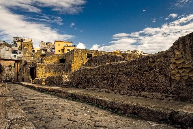 Vesuvius and Herculaneum Day Trip from Naples with Skip the Line - The Price: What You Pay For, and What You Don’t
