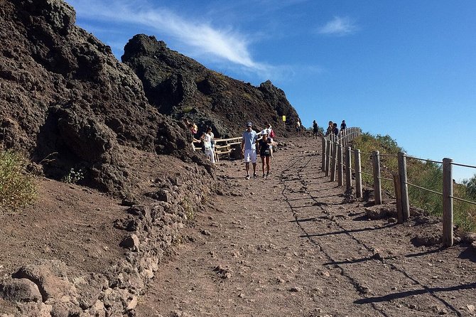 Vesuvius and Herculaneum Day Trip from Naples with Skip the Line - Who Should Book This Vesuvius and Herculaneum Trip