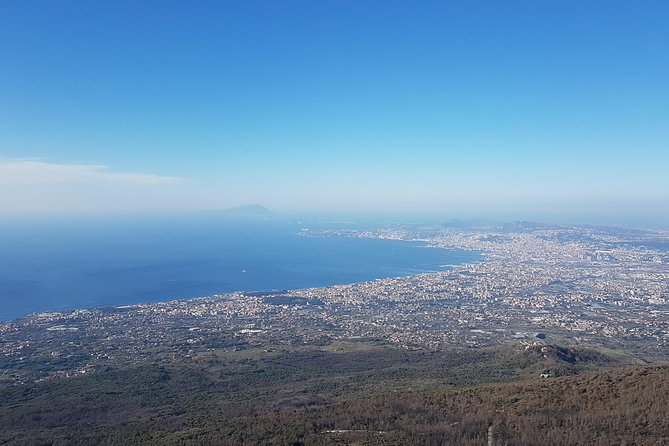 Vesuvius: Half Day Trip from Naples - Naples Pickup, Driver Sign, and the Meeting Point Reality Check