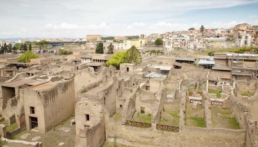 Vesuvius - Herculaneum - Pompeii Excavations Tour - Price and value: what the $95 covers, and what it doesn’t
