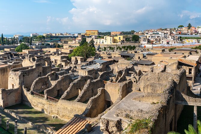 Vesuvius & Herculaneum Small Group Tour from Naples - Key highlights you’ll actually care about