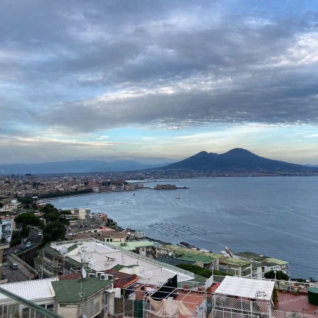 Vesuvius Park Skip-the-Line Ticket + support - Key Things to Know Before You Go