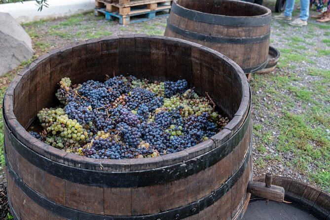 Vesuvius Wine Tasting Experience with Lunch Included - Price and value: what €88.72 buys (and what it can’t)