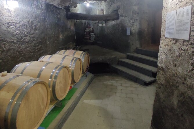 Vesuvius wine tasting with company tour - Key things you’ll notice right away
