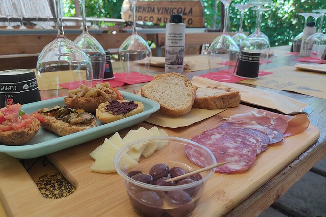 Vesuvius wine tasting with company tour - On Vesuvius near Ercolano: what your 2 hours are really for