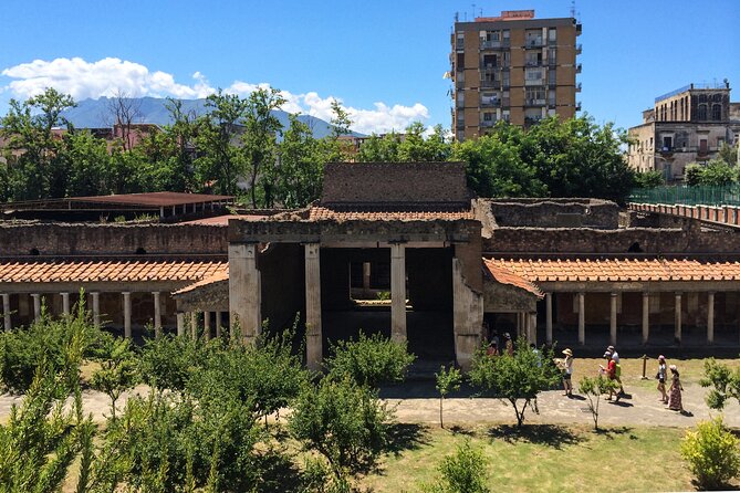 Villa Oplontis & Stabiae: discover the Hidden Treasures with your Archaeologist - Key highlights to look for before you book