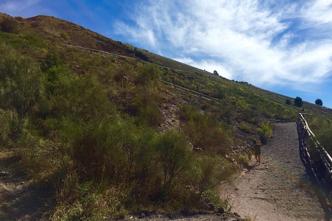 Vintage Van Experience: Tour and Transfer to Mt. Vesuvius - Price and value: is $81.02 fair?