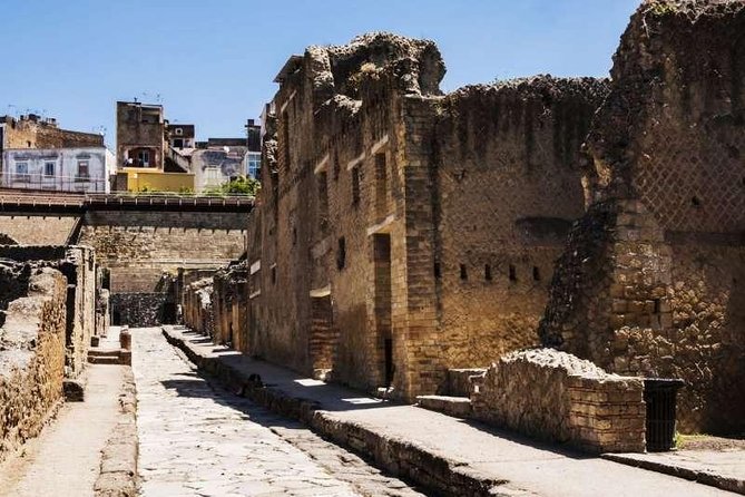 Visit Herculaneum with an expert professional guide (2/3 hours) - Getting there and what to wear