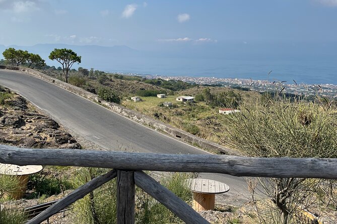 Visit Mt Vesuvius & Pompeii skip the line tickets from naples - Should you book this Naples transfer to Vesuvius and Pompeii?