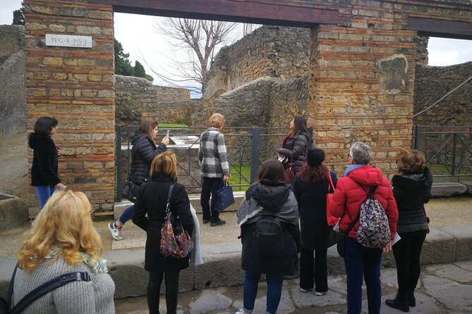 Visit Pompeii with an expert professional guide (2/3 hours) - Start at Via Villa dei Misteri for a clean kickoff