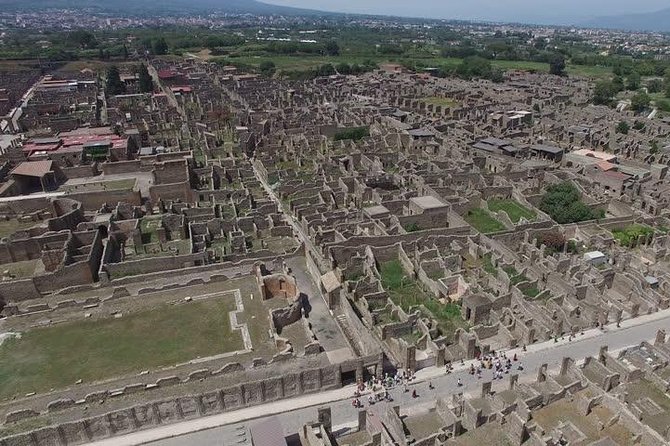 Volcano & Ruins: visit Mt. Vesuvius, Herculaneum and Pompeii tour - Pompeii Archaeological Park: two hours in the most famous streets