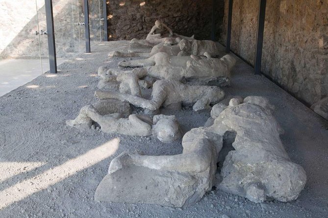 Volcano & Ruins: visit Mt. Vesuvius, Herculaneum and Pompeii tour - Where APA 1848 and lunch can fit (optional breaks)