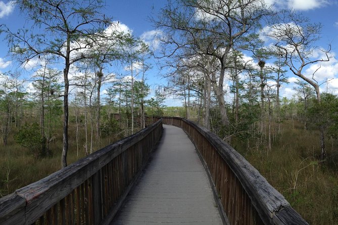 Western Everglades Adventure Tour - Reptile show and handling: snakes, baby alligators, and real safety rules