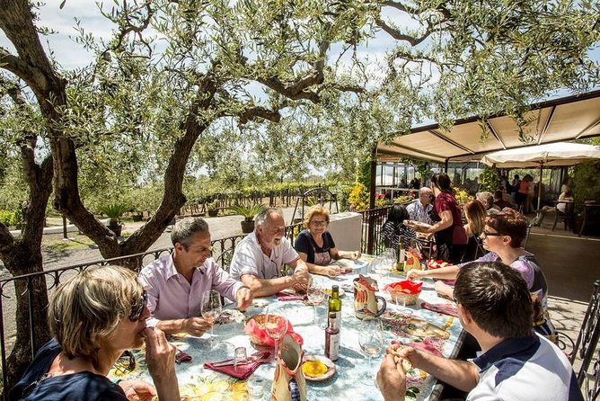 Wine & Food Tour at the Vesuvius Winery - A Naples day built around Vesuvius and Pompeii