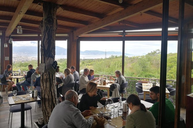 Wine & Food Tour at the Vesuvius Winery - Price and value: what’s included, what you pay separately