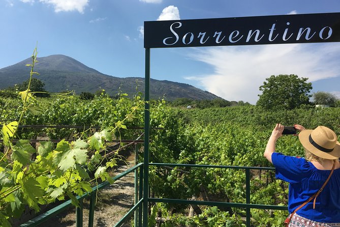 Wine Tasting and Tour Lacryma Christi Vesuvio - Key highlights to know before you go
