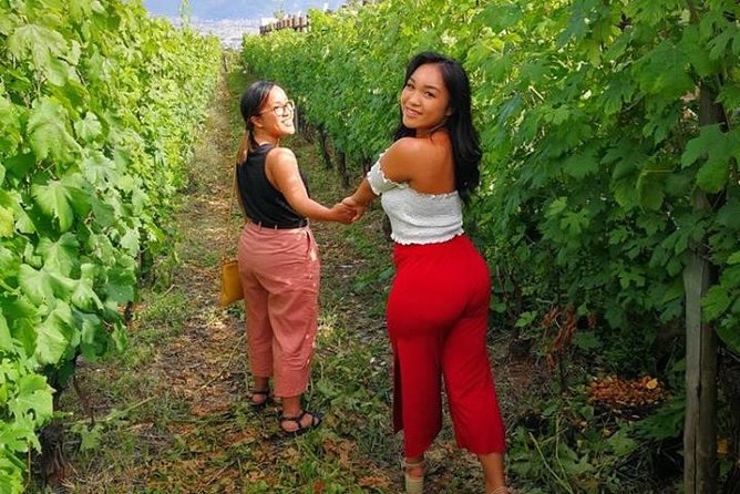 Wine Tasting and Tour Lacryma Christi Vesuvio - The Vineyard Walk: where the wine story becomes real