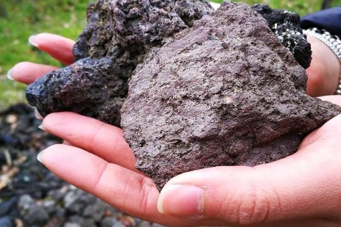 Wine Tasting and Tour Lacryma Christi Vesuvio - The guided tasting: tasting volcanic character (not random sips)