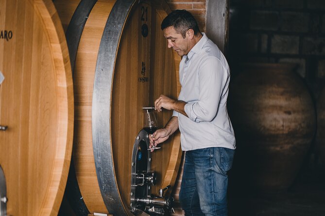 Wine Tasting and Winery Tour in Vesuvio National Park with Lunch - Key Points You’ll Care About
