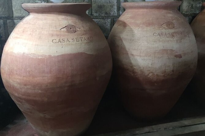 Wine Tasting and Winery Tour in Vesuvio National Park with Lunch - Four Wines and Four Neapolitan Pairings: How the Tasting Works