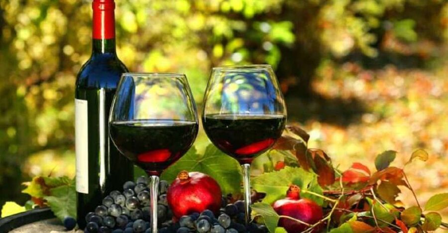 Wine Tasting Experience on the slopes of Vesuvius - The national-park drive: seeing the Bay of Naples before you even walk