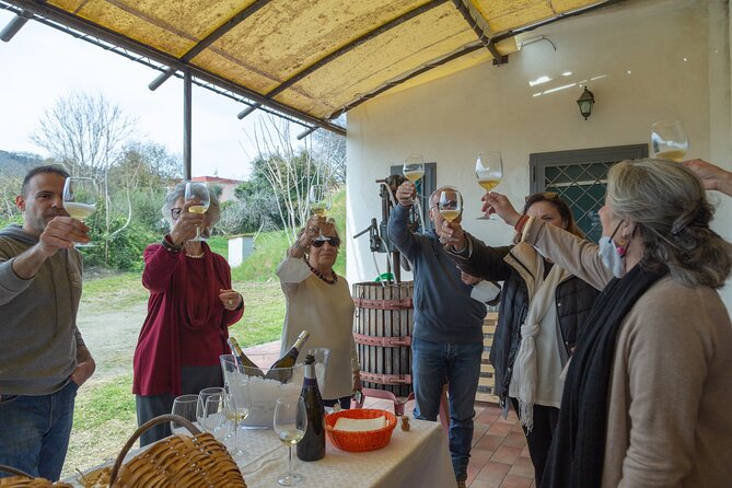 Wine Tasting in Campi Flegrei from Naples - What Makes Campi Flegrei Wines Different on the Plate and in the Glass