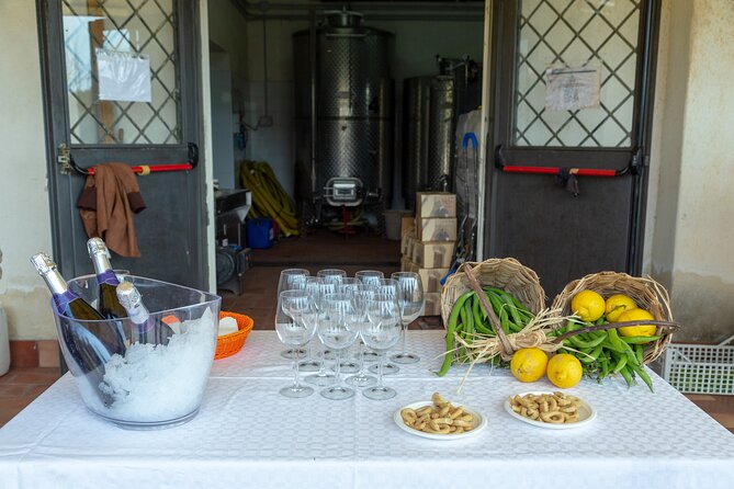 Wine Tasting in Campi Flegrei from Naples - Value Check: Is $169.24 Worth It From Naples?