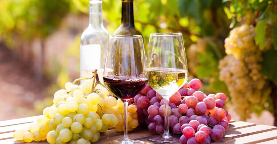 Wine tasting in the Vesuvius national park - Key highlights you should care about