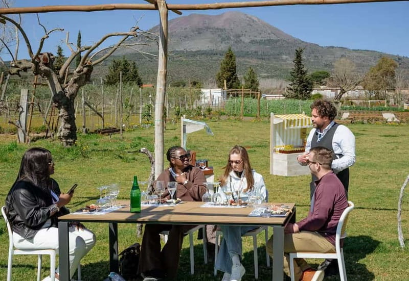 Wine Tasting on Mt. Vesuvius - Key things to know before you go