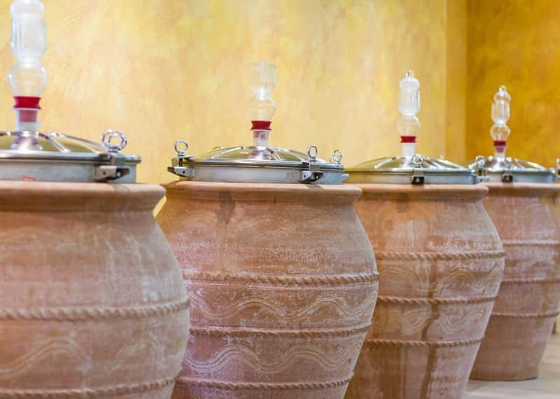 Wine Tasting on Mt. Vesuvius - Why Pompeii’s Vesuvius Wines Taste Different