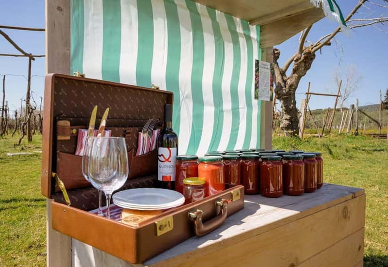 Wine Tasting on Mt. Vesuvius - Lunch Pairings on Vesuvius Soil: What Your Table Is Really For